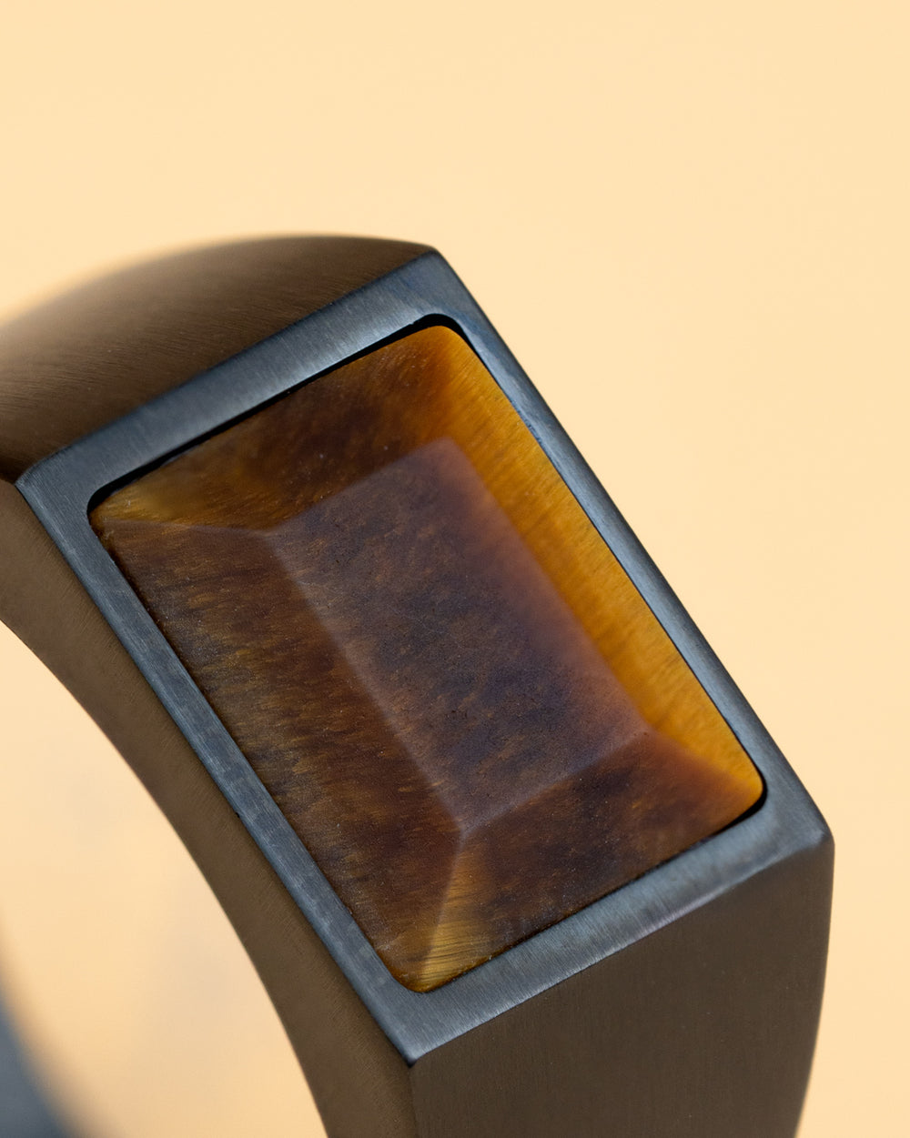 Black Titanium signet ring with Tiger Eye stone