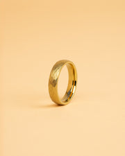 5mm Titanium ring with faceted gold finish