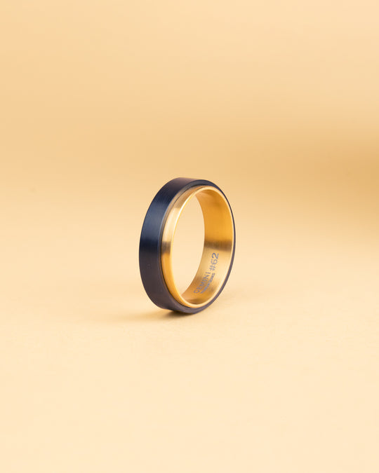 Tweekleurige titanium ring